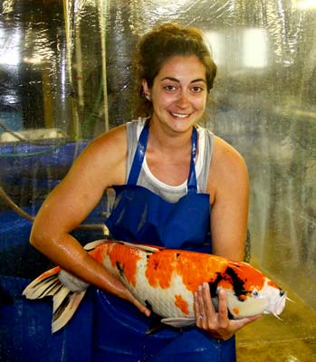 Kirsten with Showa Breeder live Showa koi fish breeder